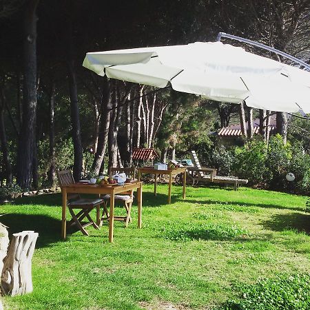 Bed and Breakfast Mirto E Mare Muravera Exterior foto