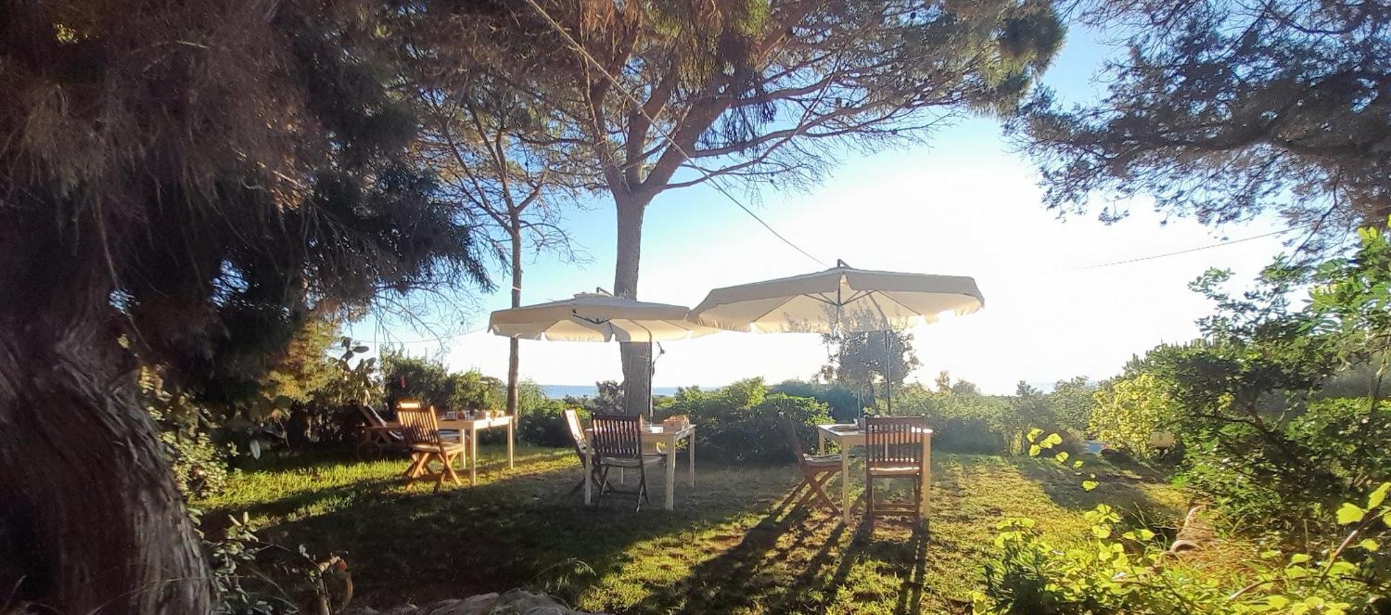 Bed and Breakfast Mirto E Mare Muravera Exterior foto
